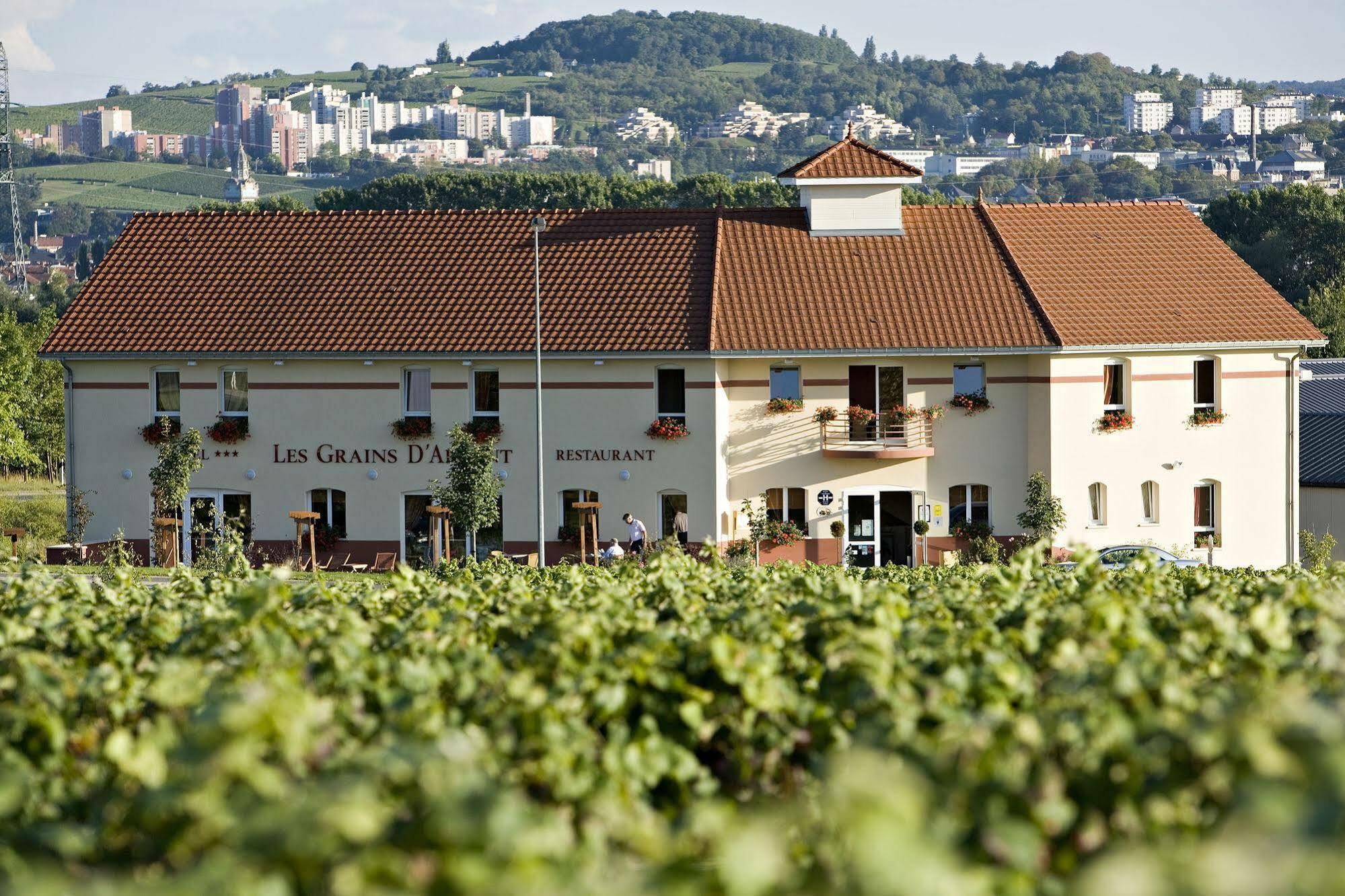 Hotel Restaurant Les Grains D'Argent Dizy - Epernay Eksteriør billede